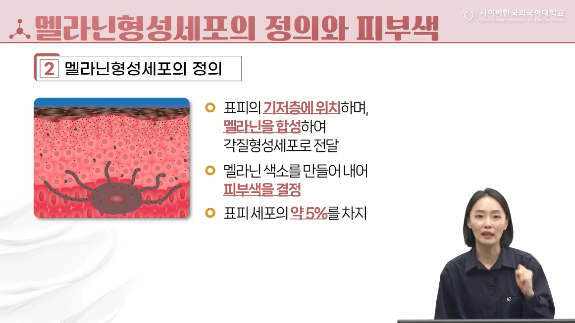 피부미용학	