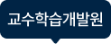 교수학습개발원