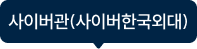 사이버관